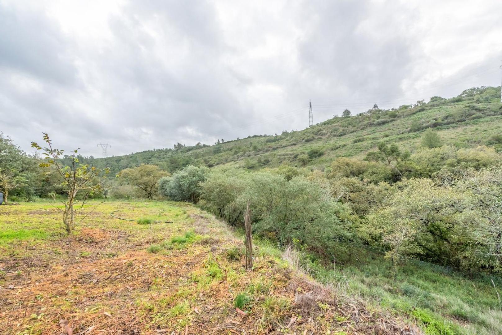 Countryside Paradise In Bucelas المظهر الخارجي الصورة