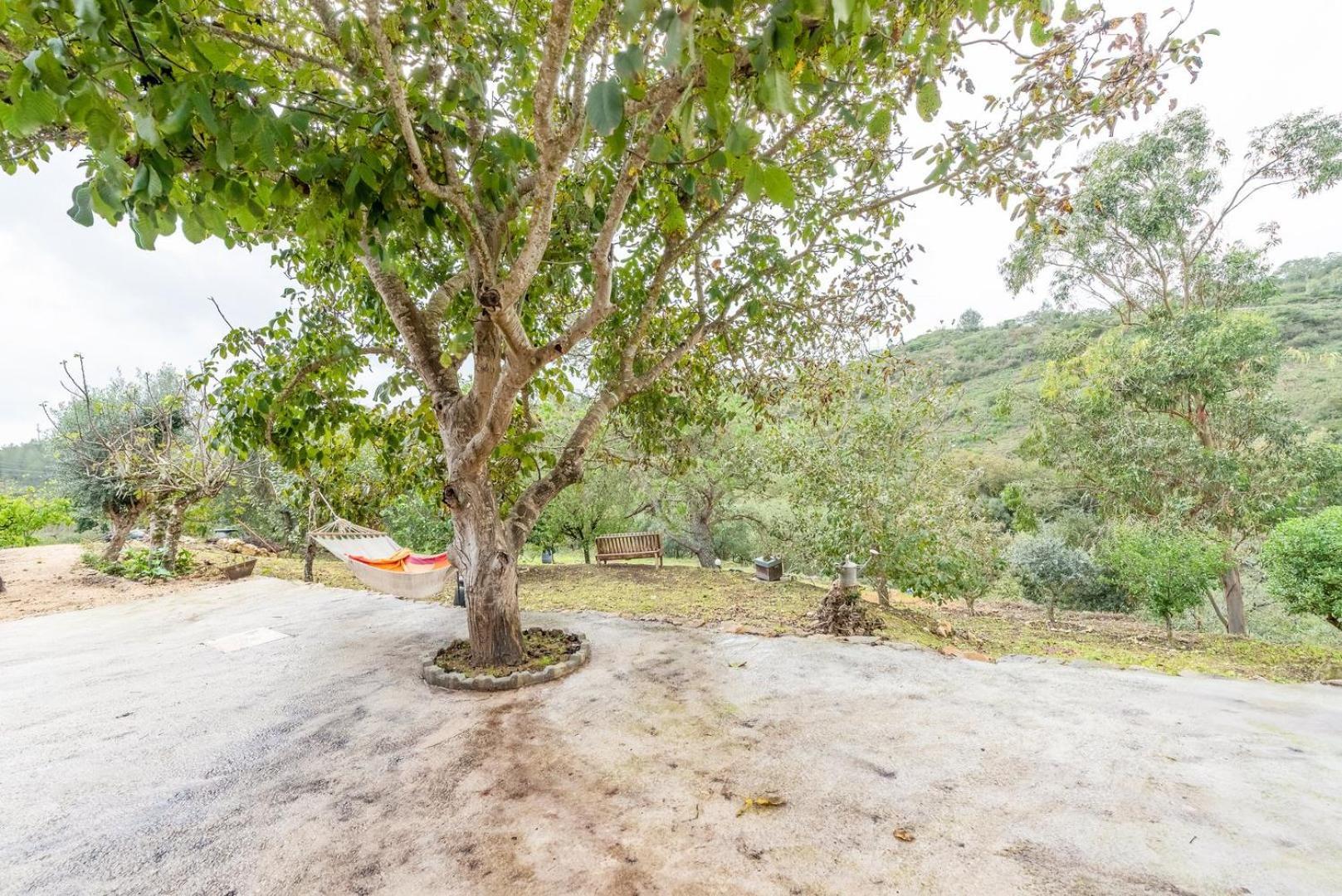 Countryside Paradise In Bucelas المظهر الخارجي الصورة