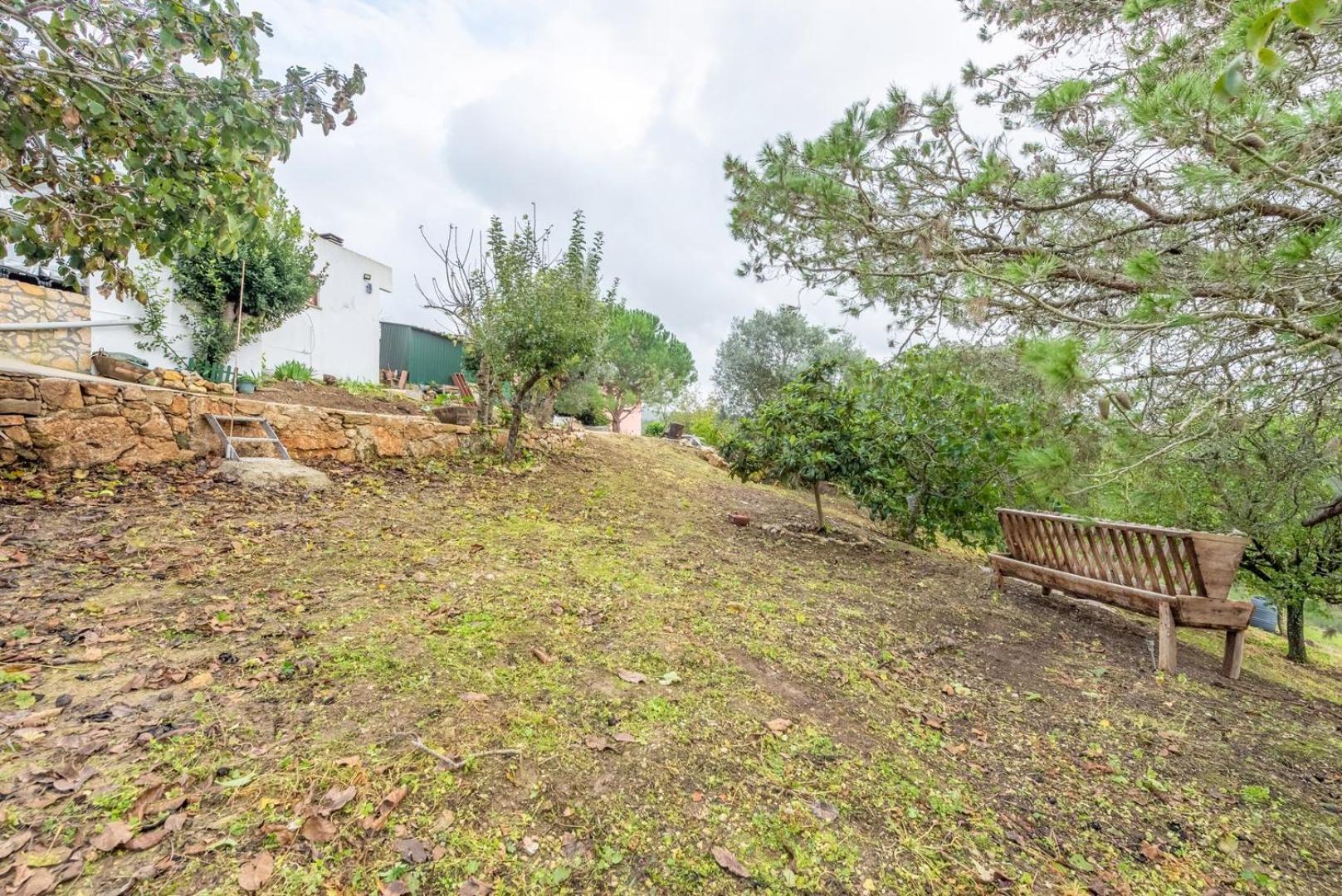 Countryside Paradise In Bucelas المظهر الخارجي الصورة