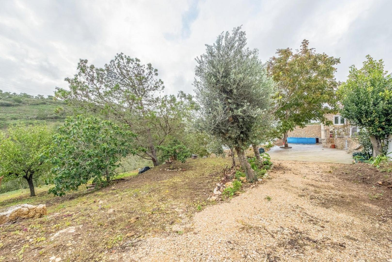 Countryside Paradise In Bucelas المظهر الخارجي الصورة